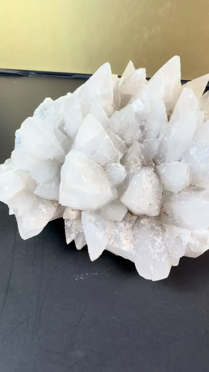 plant/Dogtooth Calcite Mineral Specimen Large-2