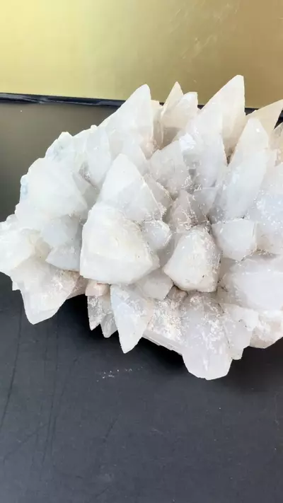 plant/Dogtooth Calcite Mineral Specimen Large-2-thumbnail