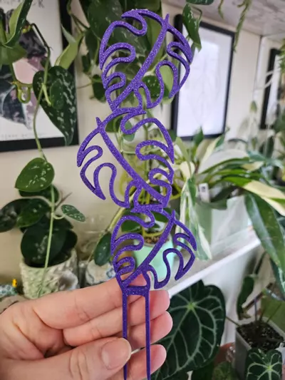 plant/Monstera prop trellis purle sparkle-0-thumbnail