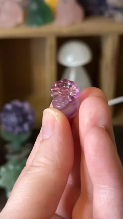 plant/$6 | Mini Fluorite Sunflower in Pot-1-thumbnail