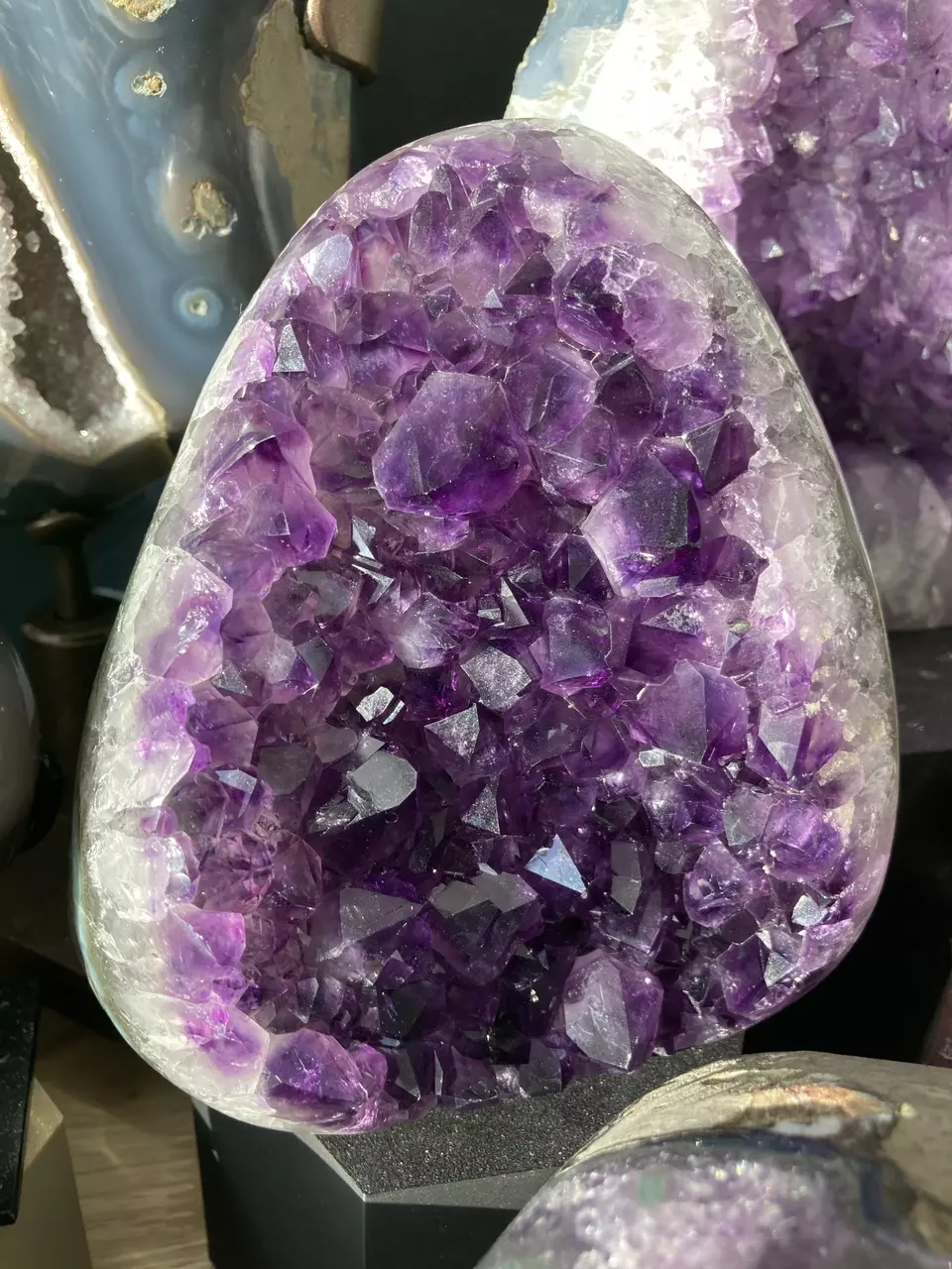 plant/Amethyst cut base-0