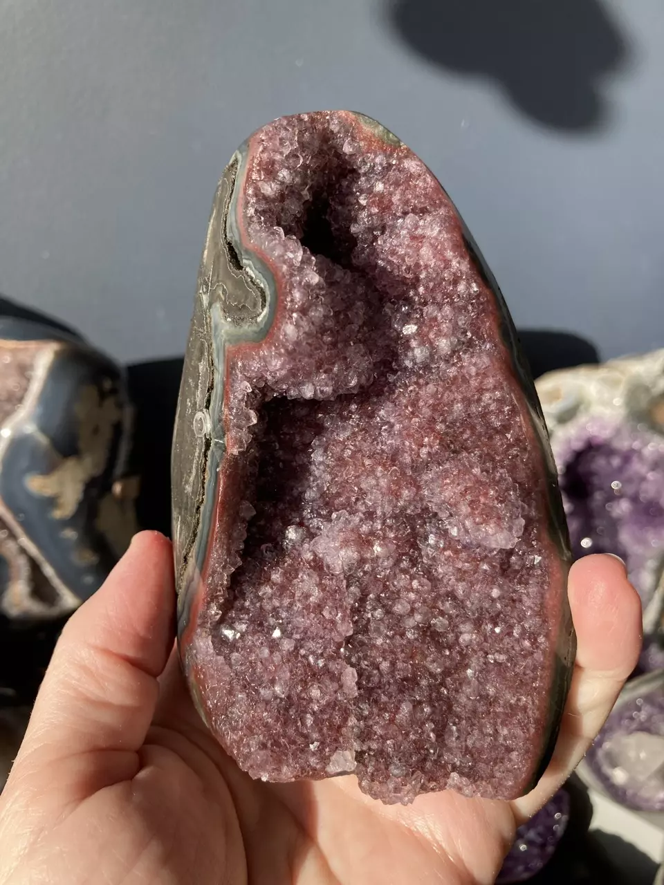 plant/Cranberry amethyst cut base-0