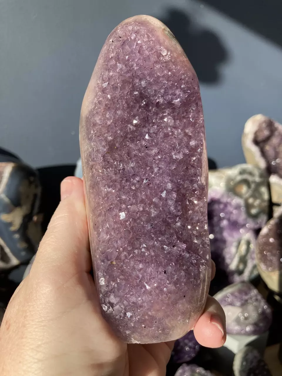 plant/Purple amethyst cut base-0