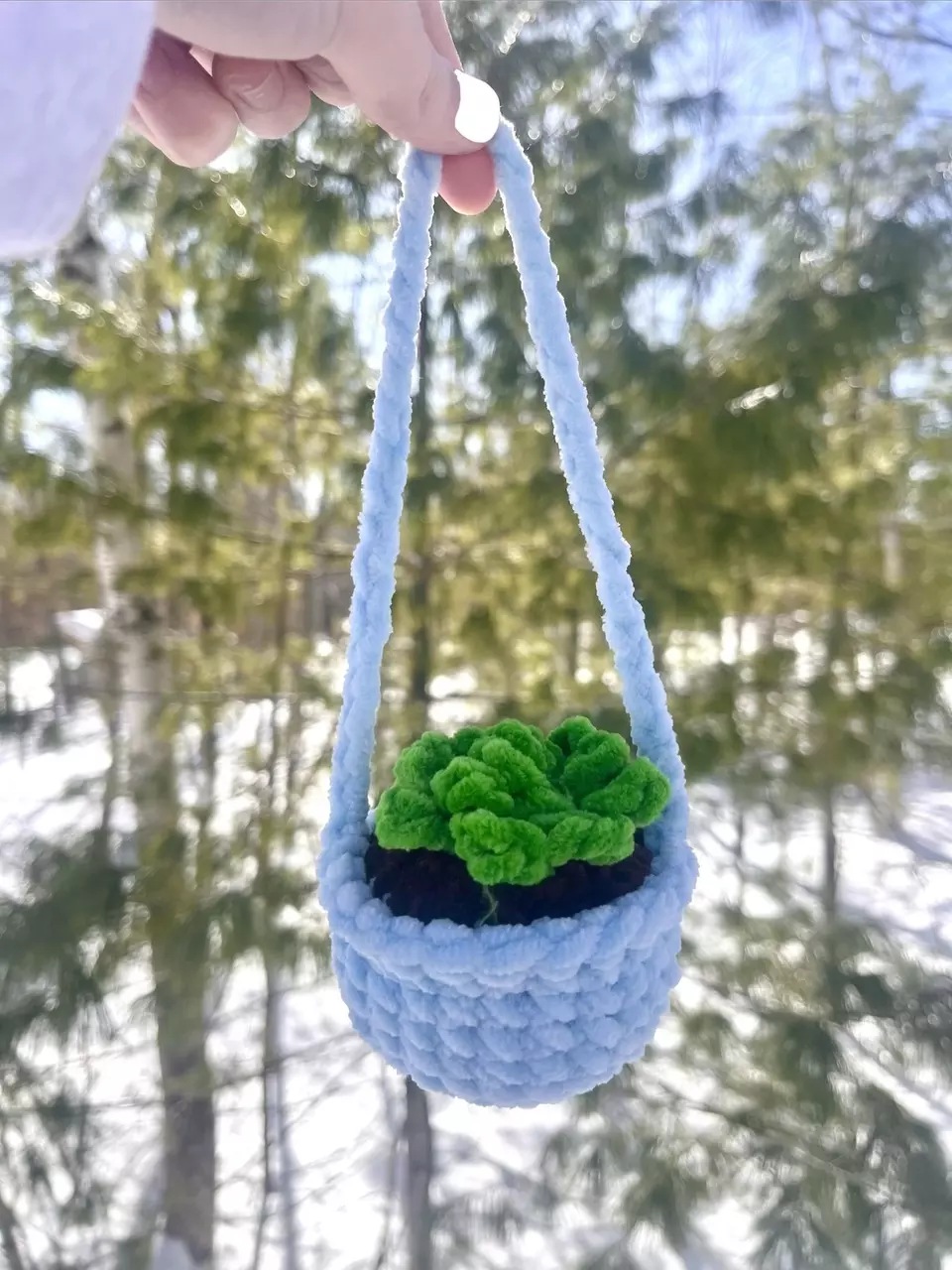 ✨Crochet Itty Bitty Hanging Plant✨