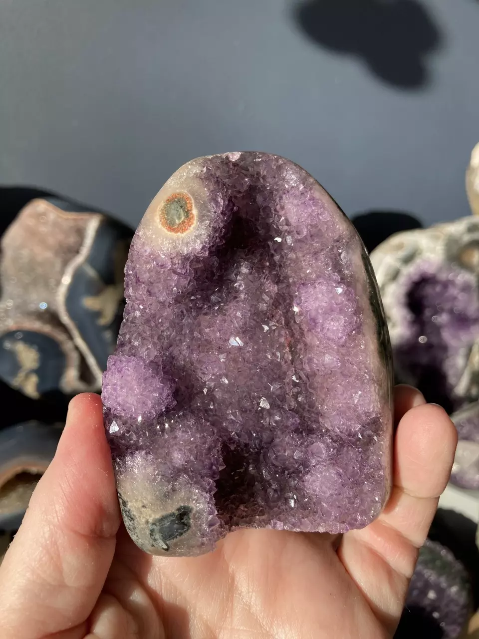 plant/Purple amethyst cut base-0