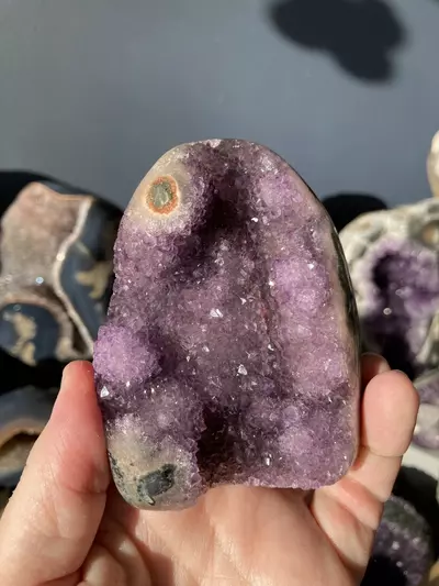plant/Purple amethyst cut base-0-thumbnail