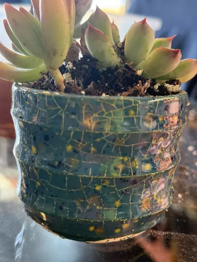 plant/Handmade Ceramic Planter 3x2.75-0-thumbnail