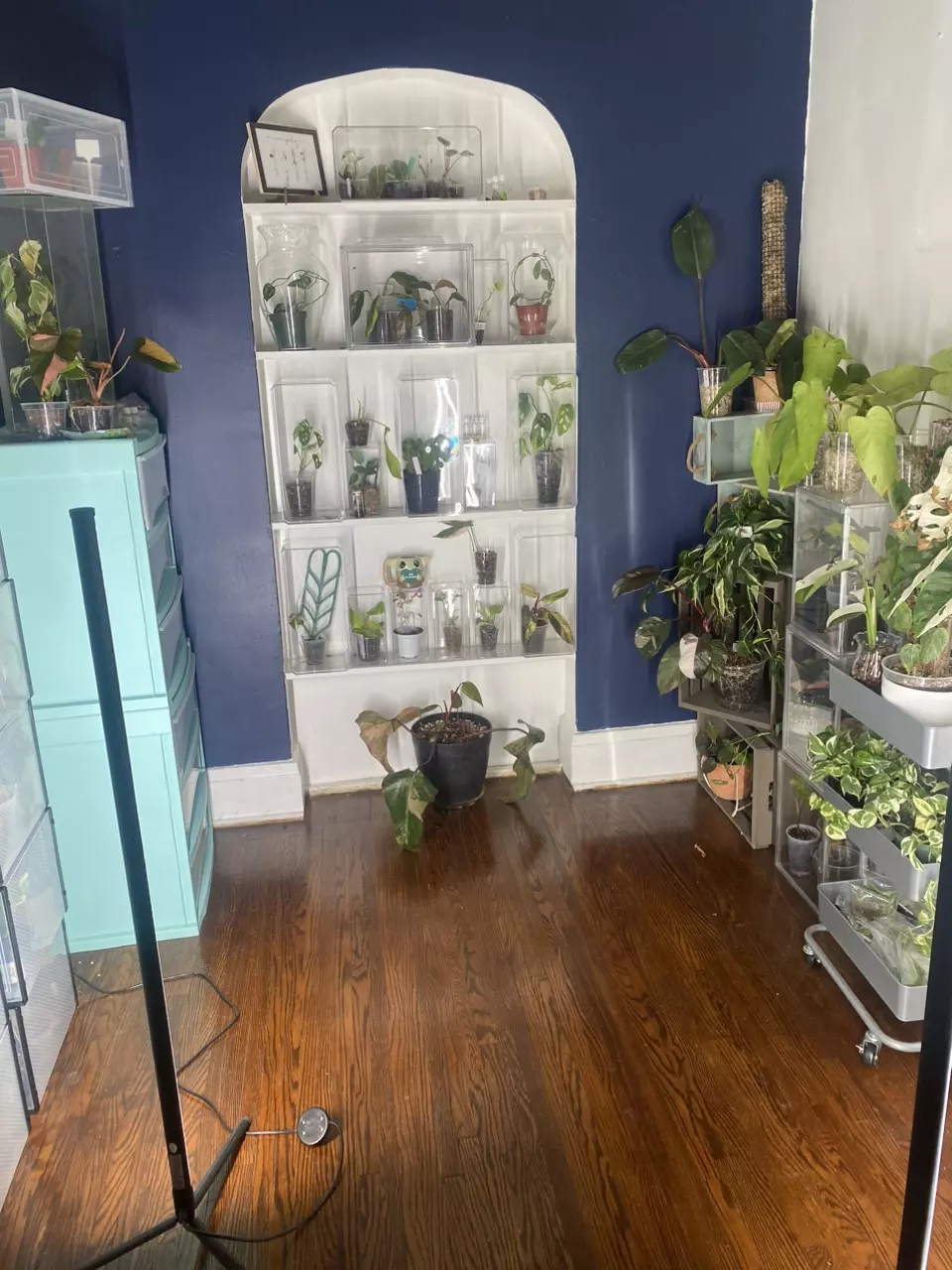 Green house clear out!!