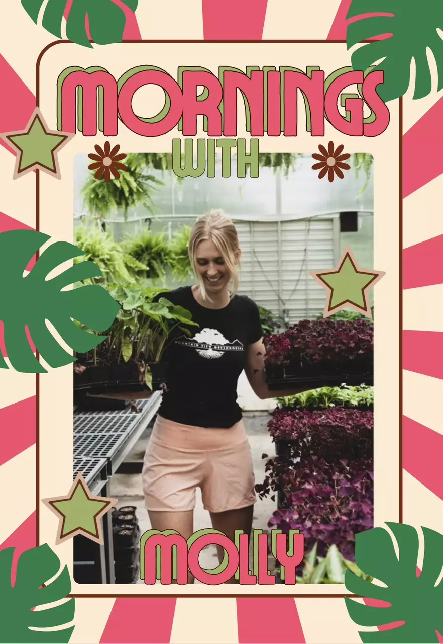 MWM - TRASH WEEK CONTINUES 🚮🗑️
