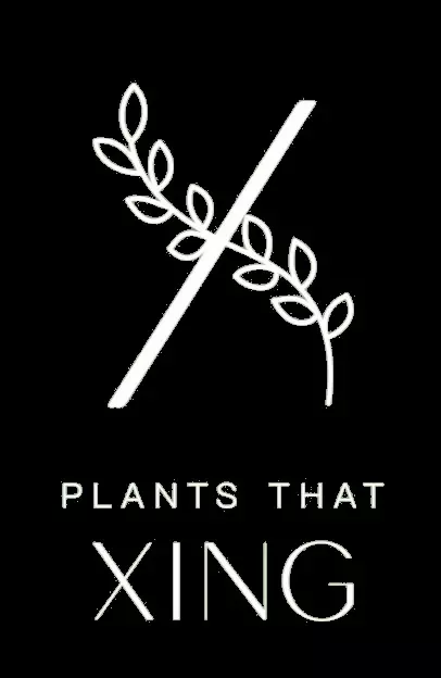 Live Show with Plants That Xing