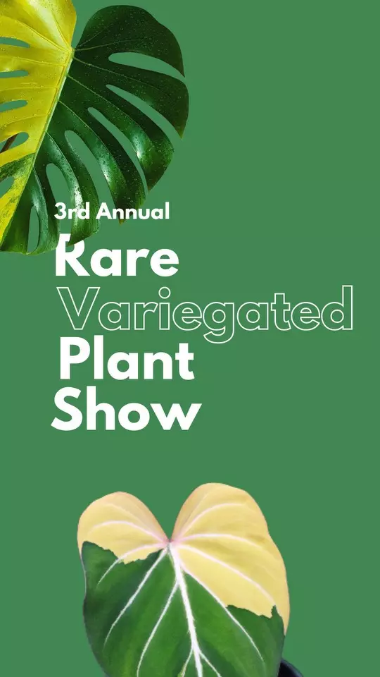 🌴Join us for the Annual Rare Variegated Plant Show!