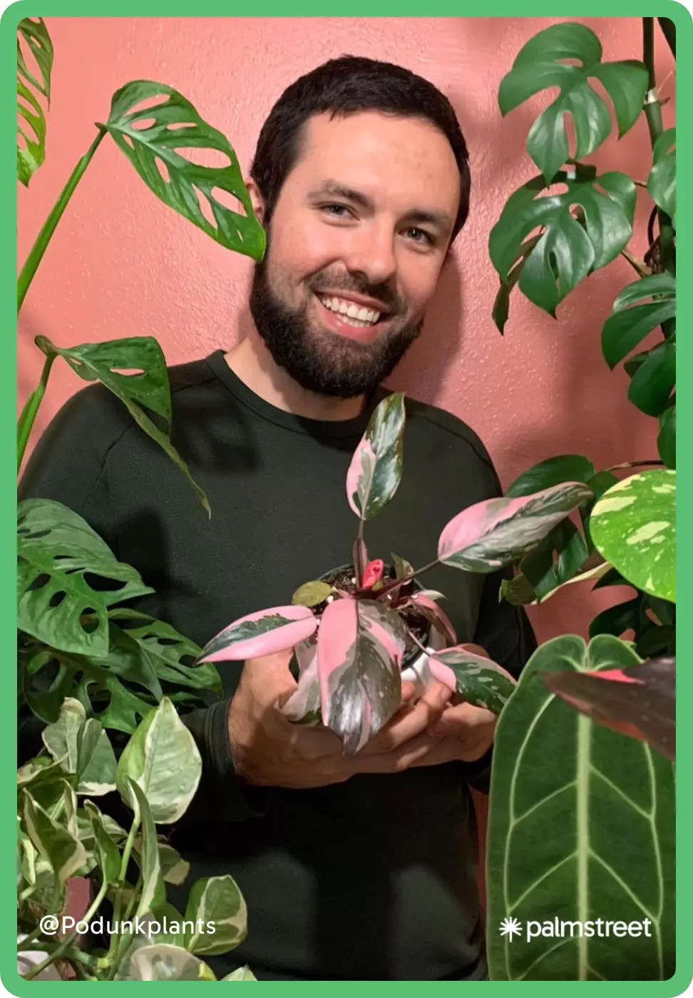$1 PLANT AUCTIONS 🐸 SPIN TO WIN GIVEAWAYS! 🎡 NEW PLANTS!!