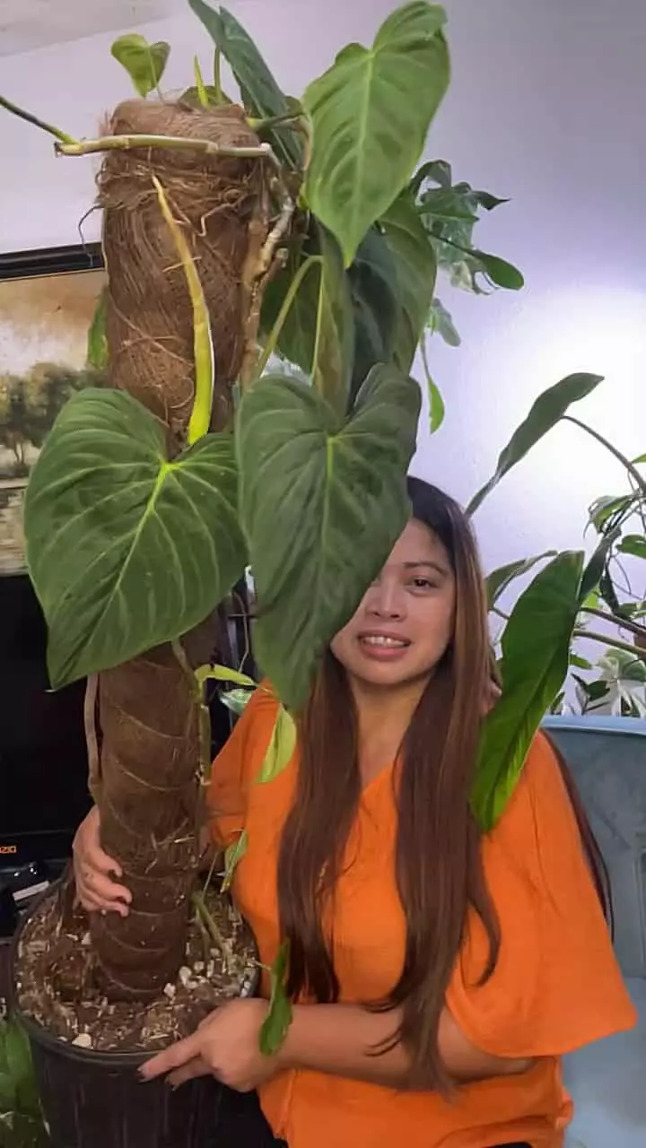 Lots of Cool & Unique rare plant collections