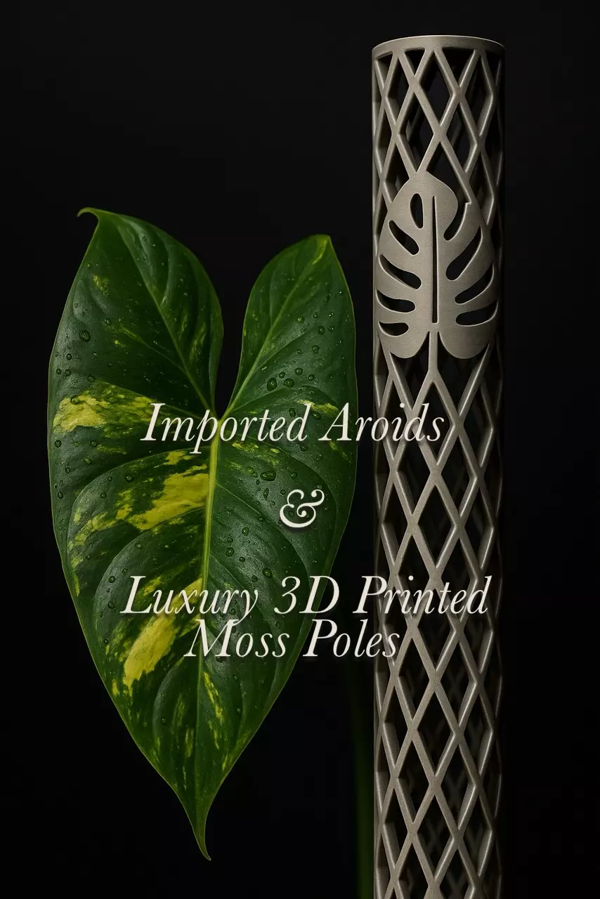 Imported Plants, Luxury Moss Poles, & More 💎