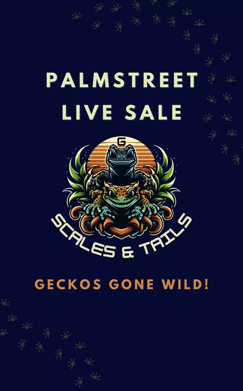 🐍🦎‼️Free Shipping! Orders $100+! ‼️🐍🦎