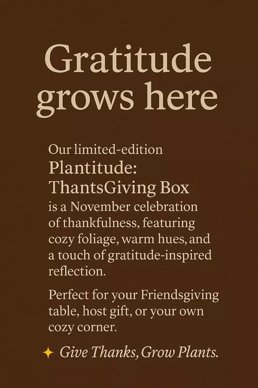 Get a preview of our Plantitude Box 💚✨🪴🎉