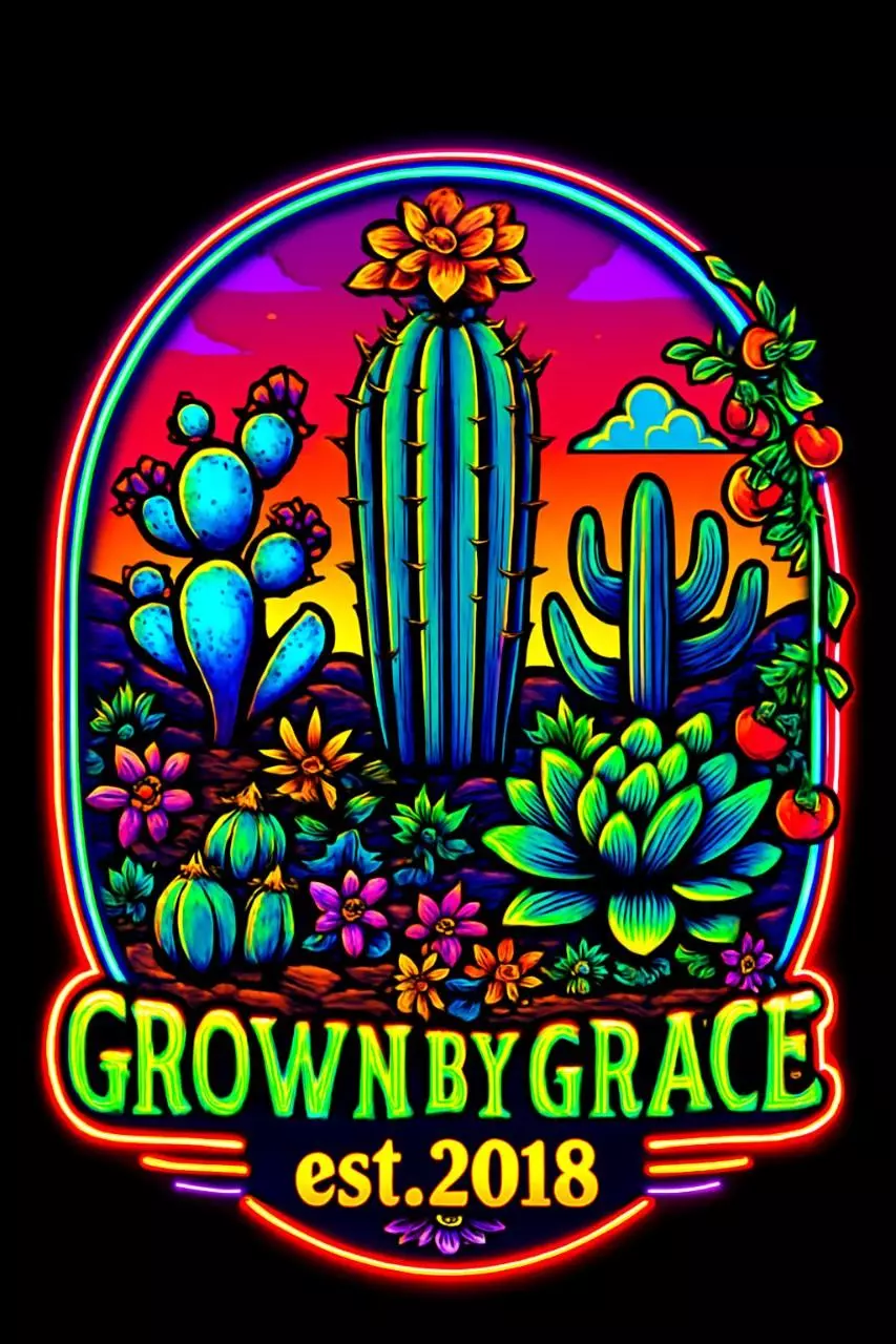 Random Cacti & Succulents show!!!