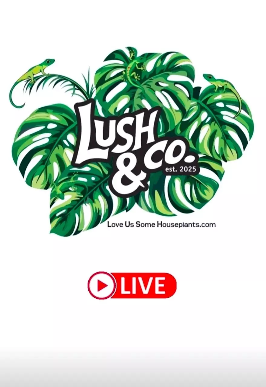 LUSH & Co. Plants 🪴 *Rooted and Ready*