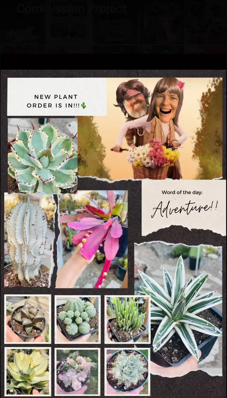 🌵Your New Jungle Awaits!!!🌵
