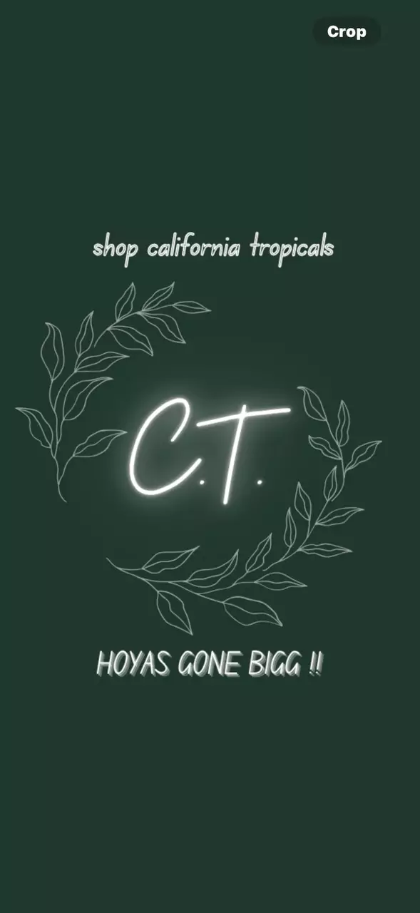 BIGG HOYAS & MOREE !!