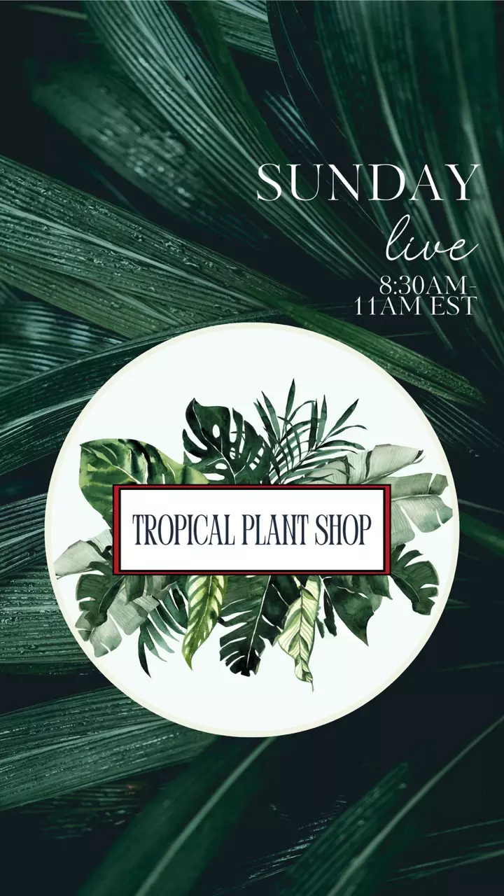 Sunday Morning, coffee in the grow house!