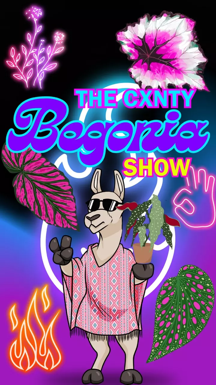 🚨OVER 200 HOT BEGOGOS FOR DA HOHOS🚨FIRST DIBS