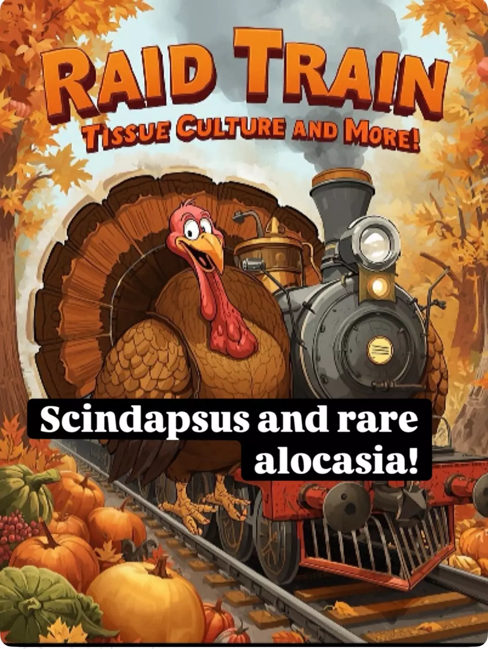 More Alocasia! And Scindapsus!