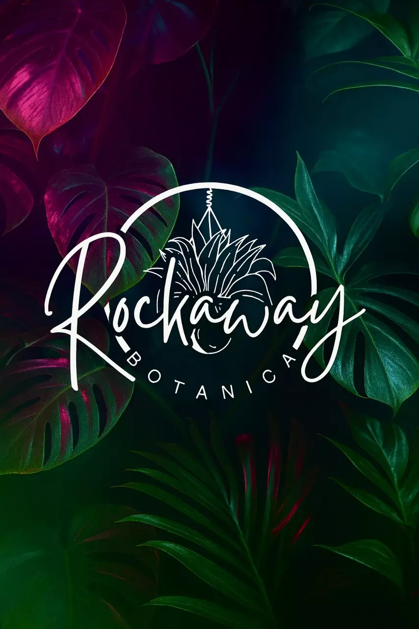 Early morning Hang with Plants 💚✨🪴