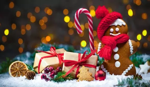 🎄Becky's Holiday Shop🎄