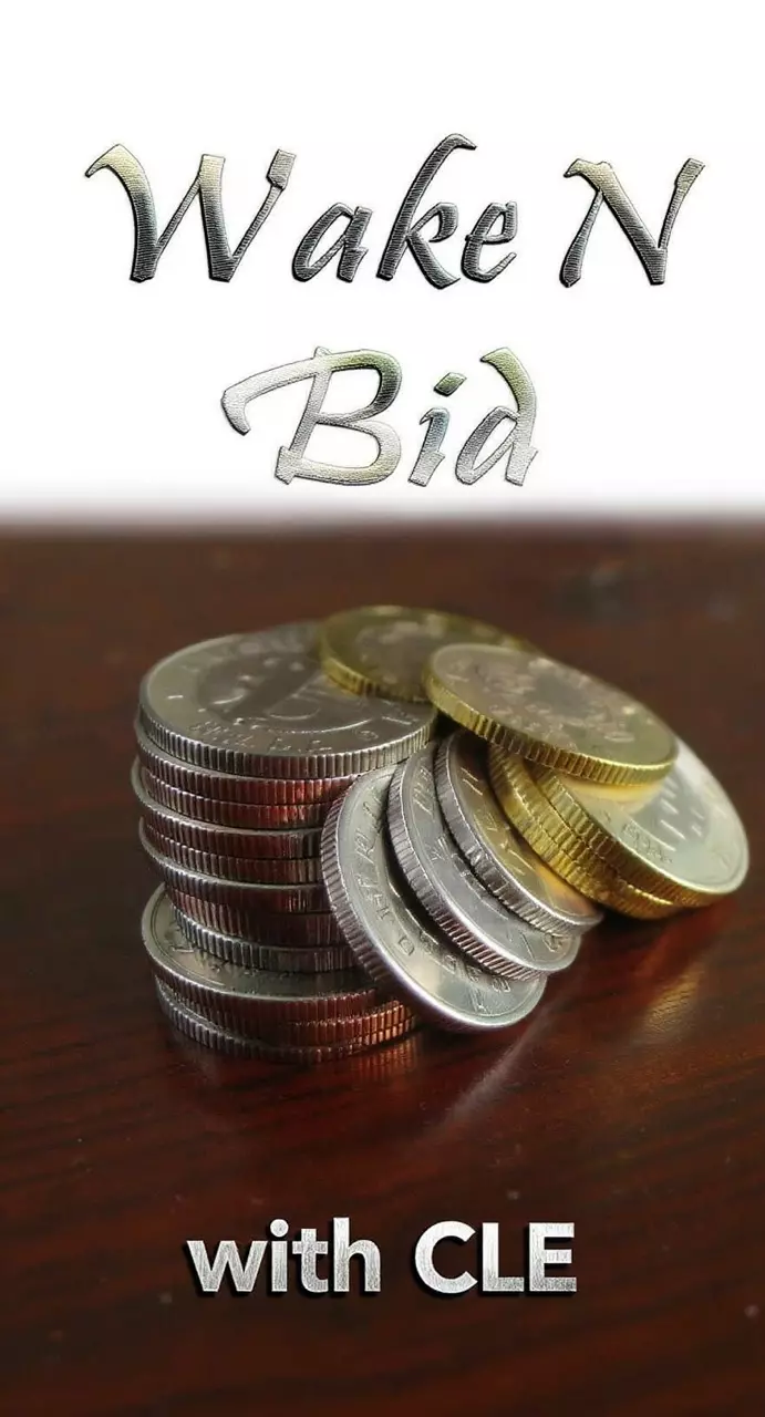 CLE_Coins Wake N Bid on Palmstreet