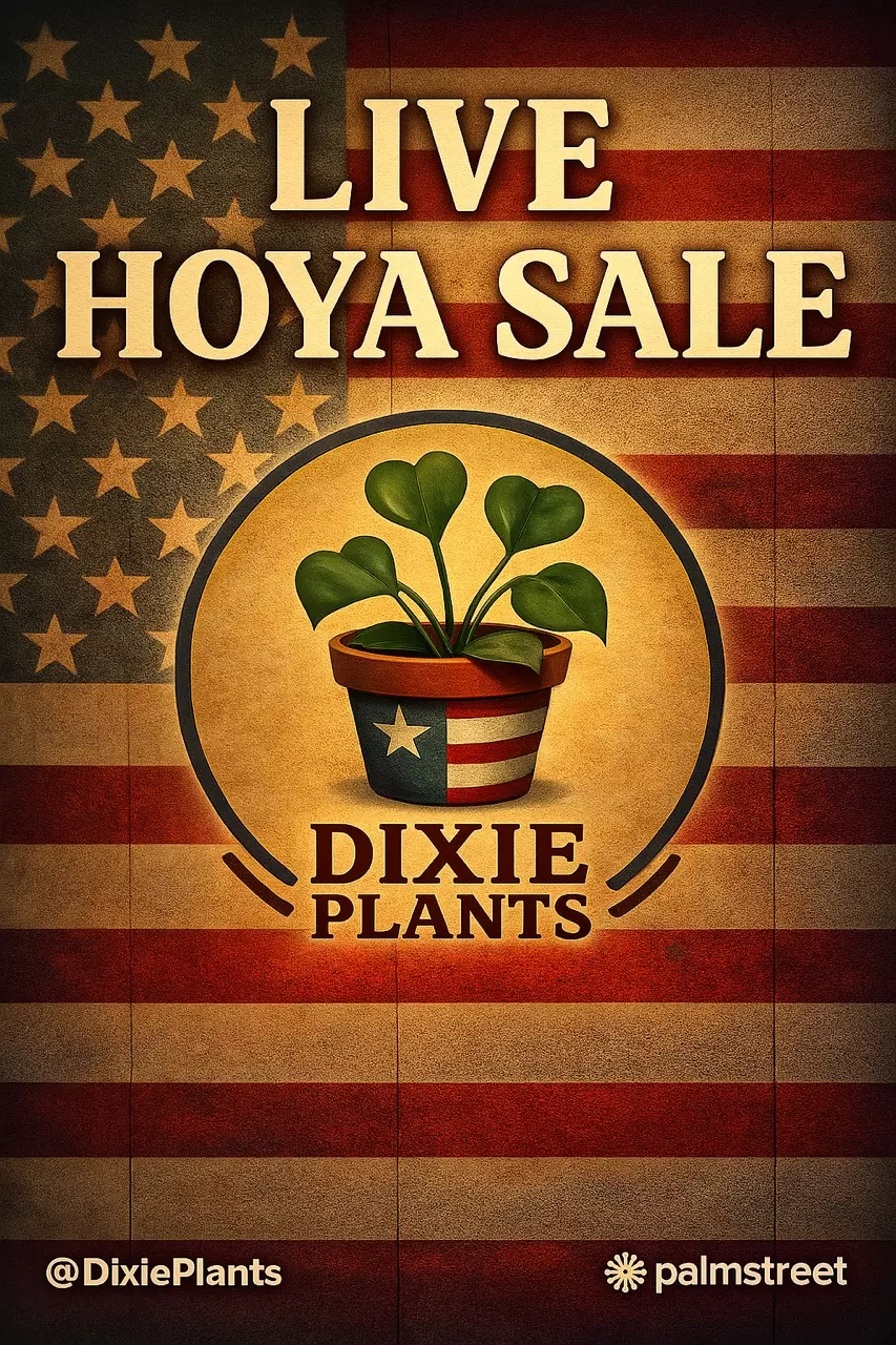 Hoya Lovers • Live Sale 7PM CST❤️🤍💙