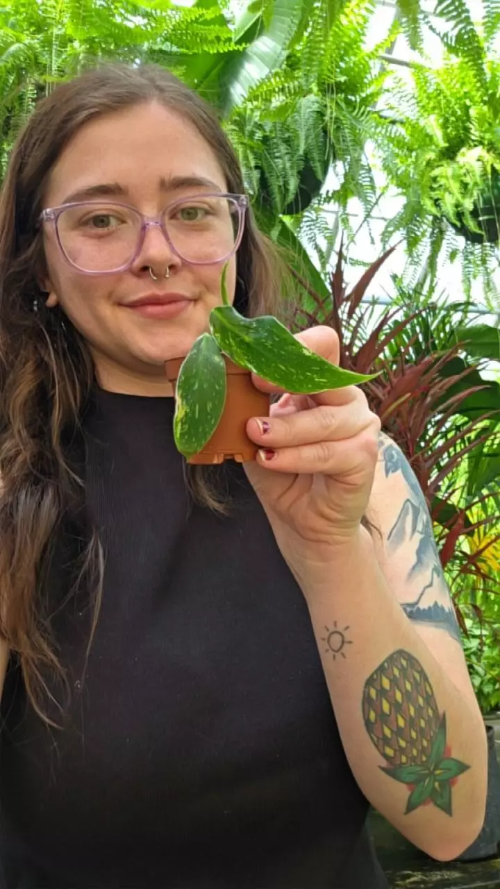 Celebrating Kat's Birthday! FULL size plants!