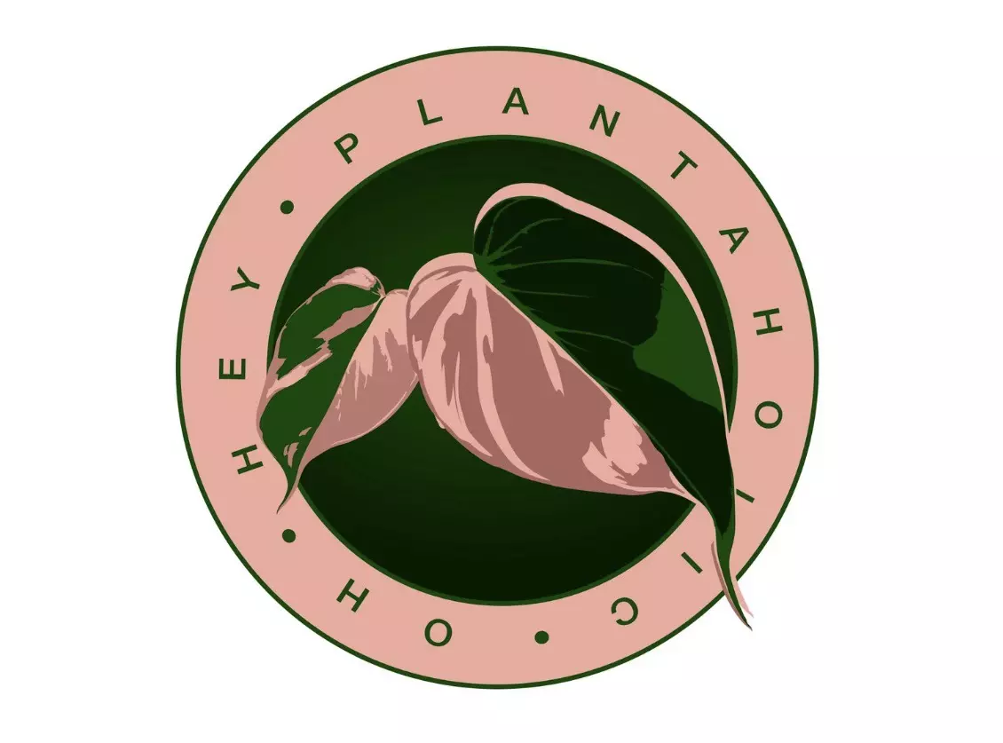 SLINGING TCs TODAY! Start of a new week!!!!