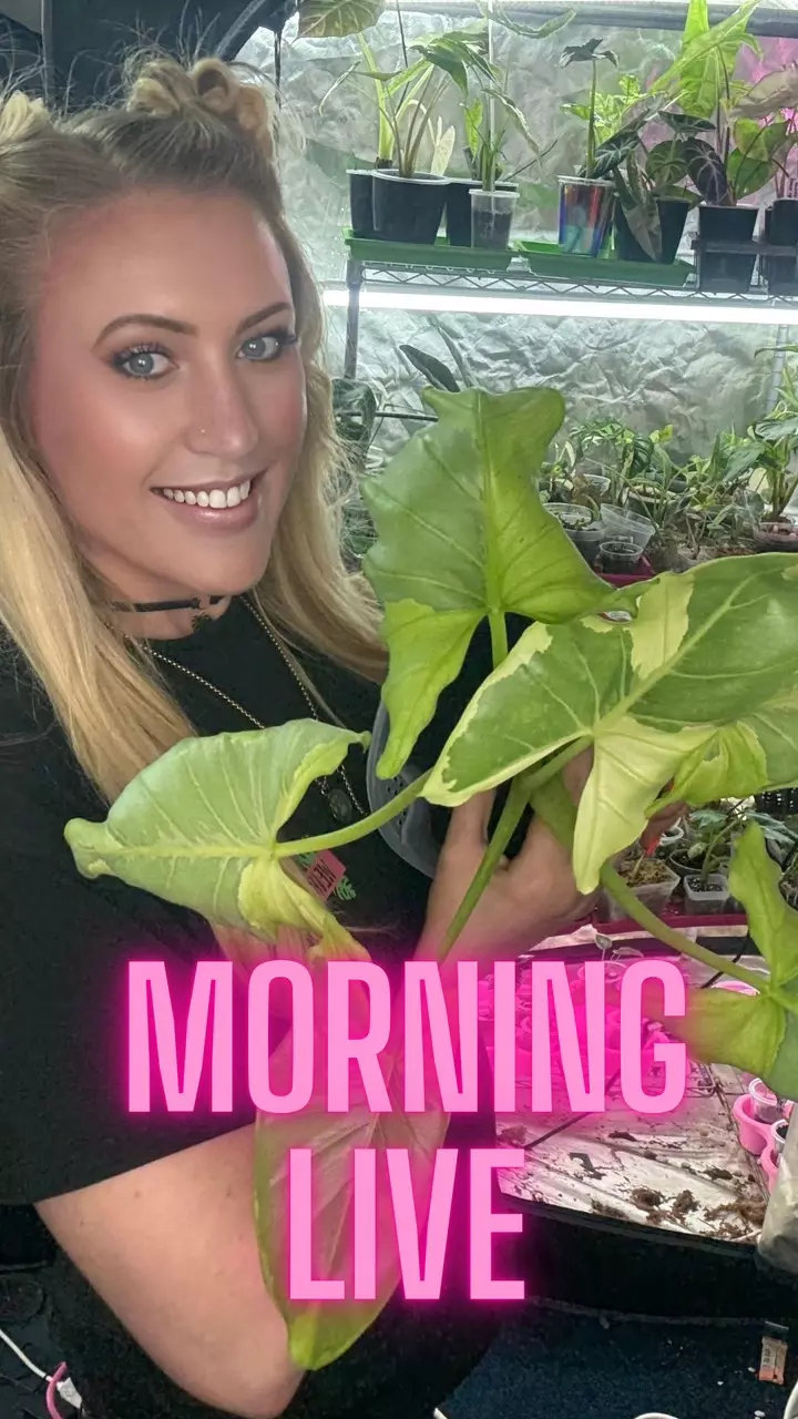 Sunday Morning Live! (Instead of our late night this week)