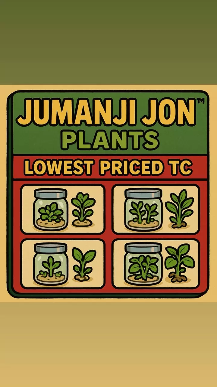 Jumanji Jon Plants