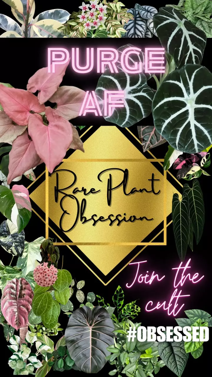 🖤 RPO CULT  🎀NURSERY GIFt SHOP