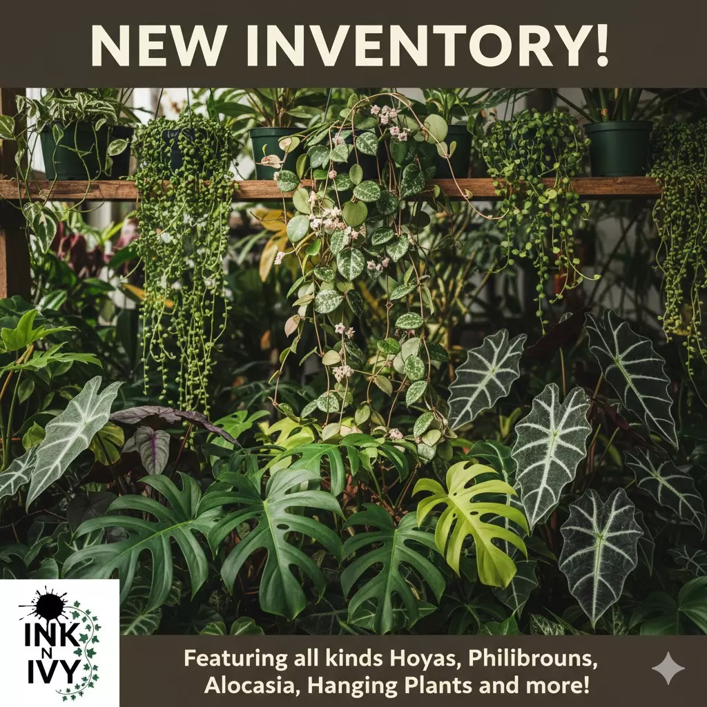 HUGE INVENTORY DROP!! over 75+items