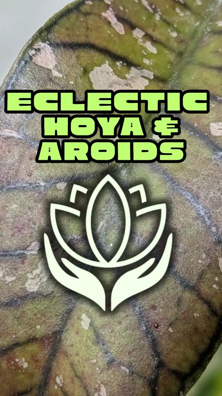 Live your best plant life