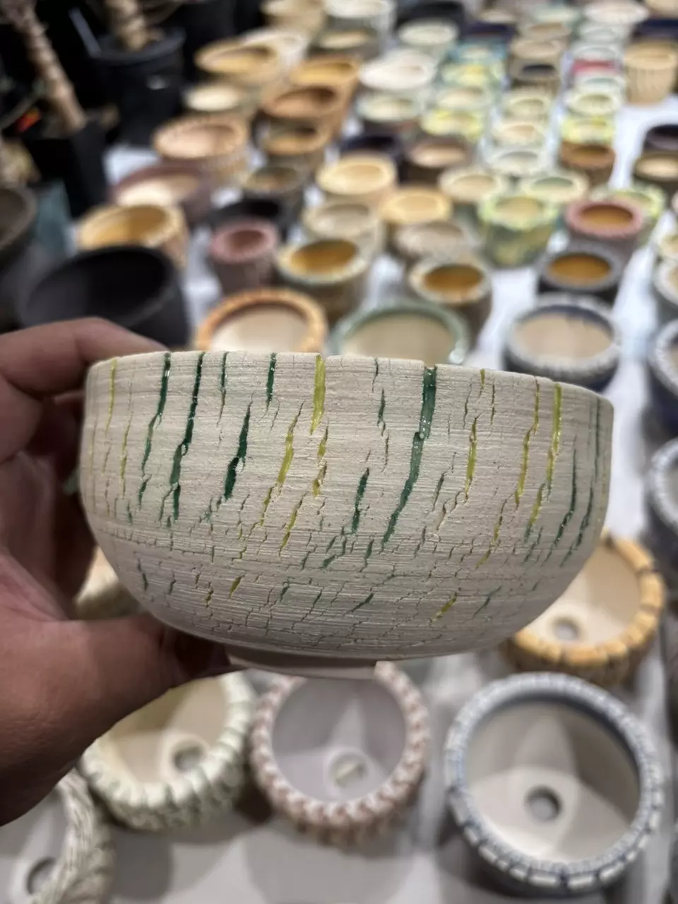 Morning plants and pots