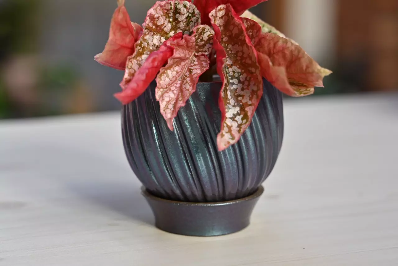 Handmade Concrete pots!