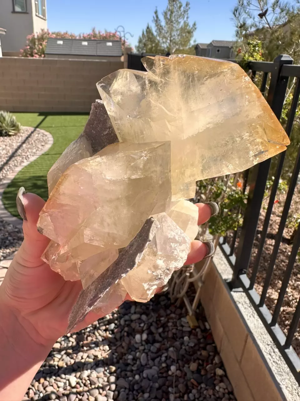 EARLY BLACK FRIDAY WEEK Crazy auctions!