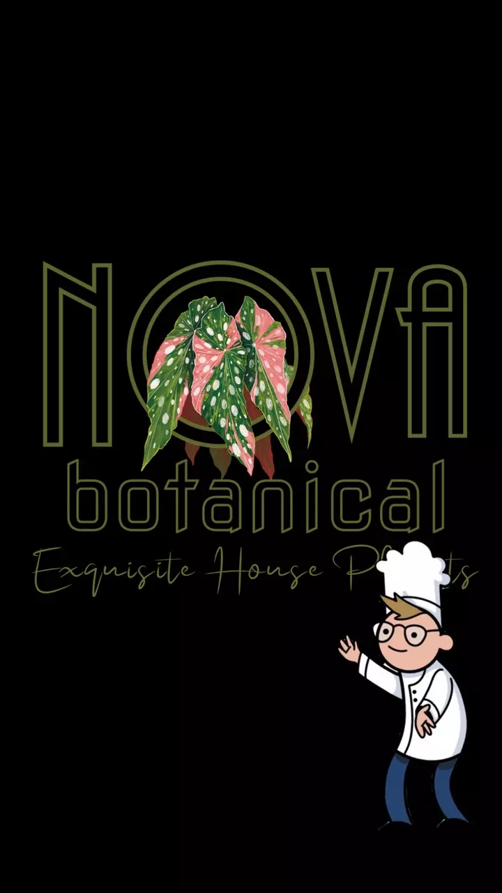 What’s Cookin?! 👀