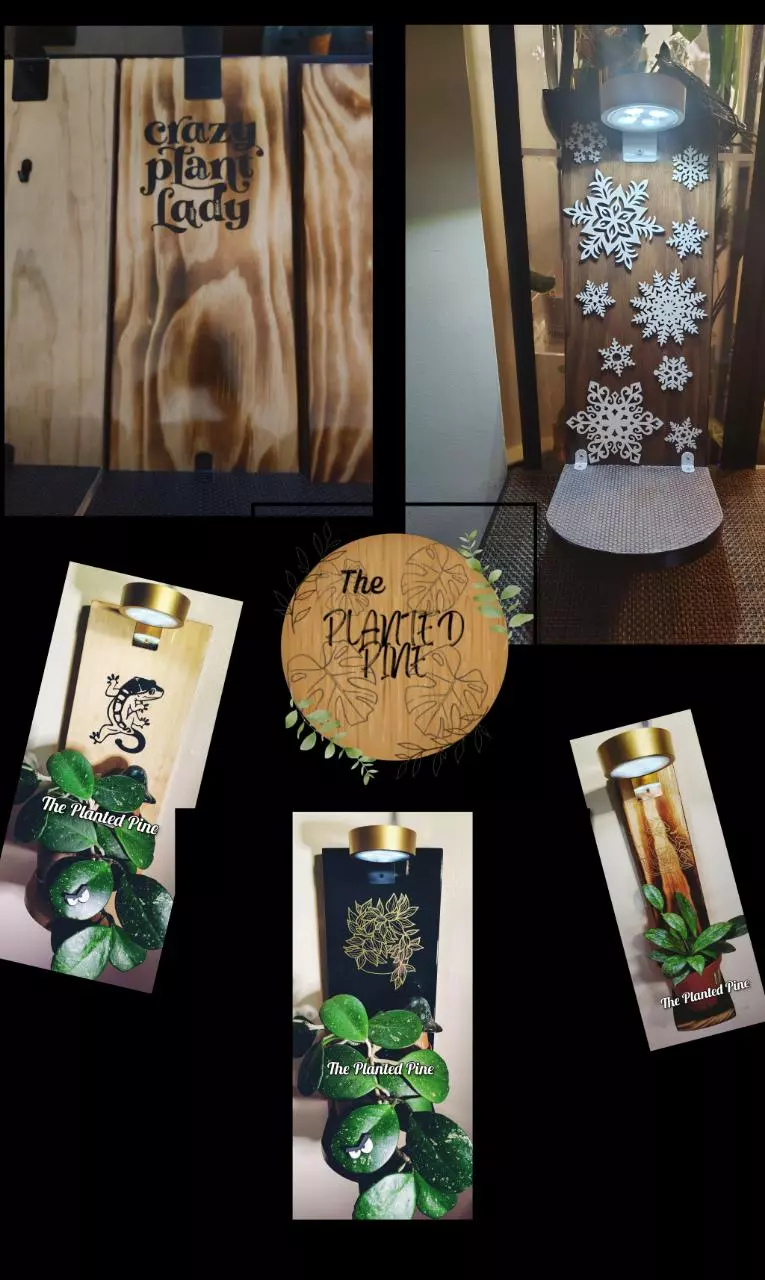 New Hangers & Come Backs!! Hit that Bell & join the Fun!