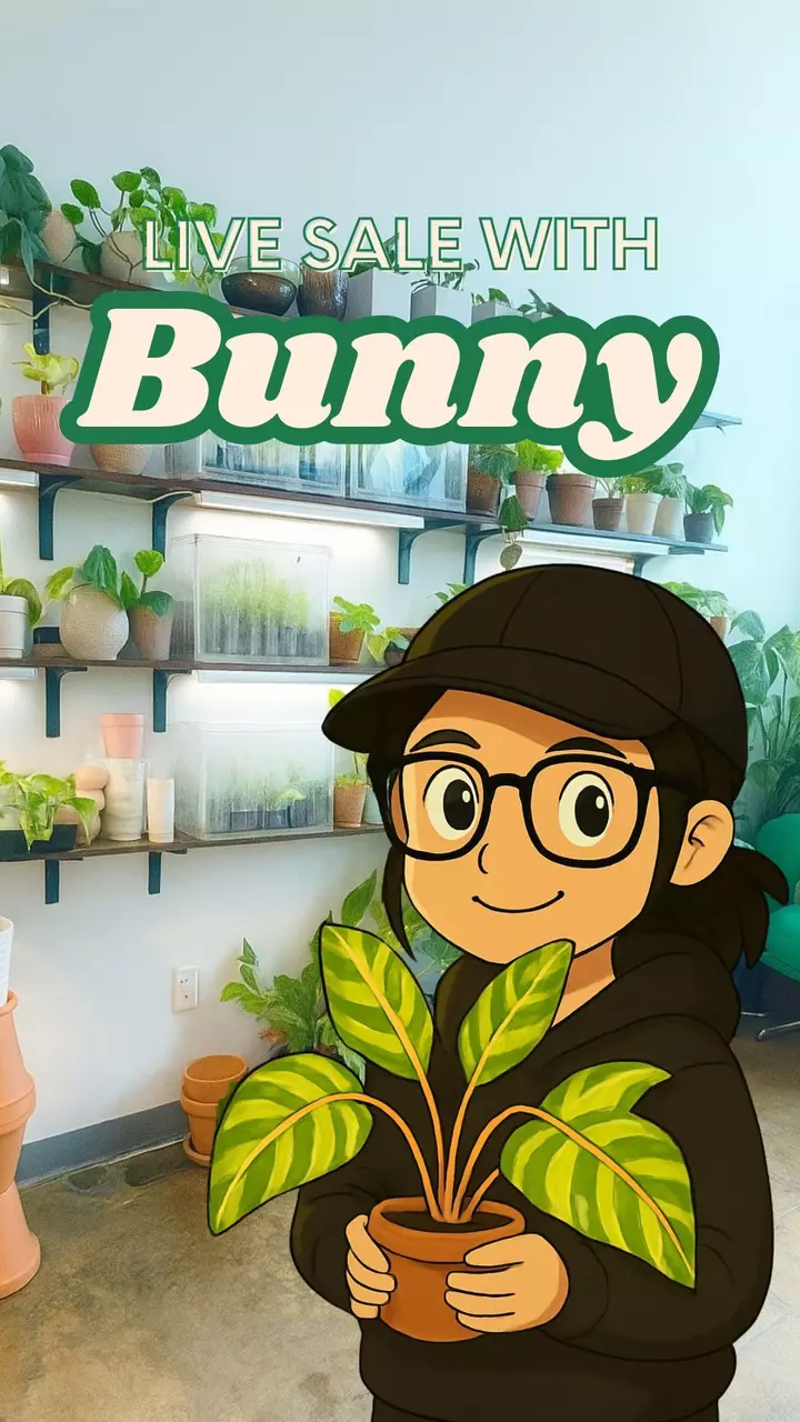Bunny's Thursday Live Sale 💕🍀