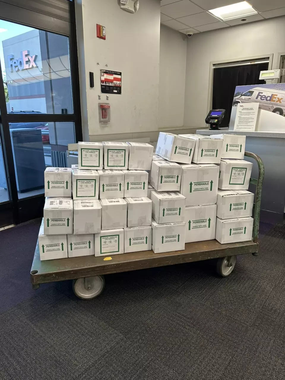 Shipping Day Monday Dec 22