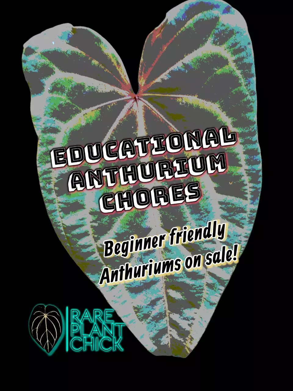 20% OFF?! Trivia contest givys! Browse-Buy-Babble Night!