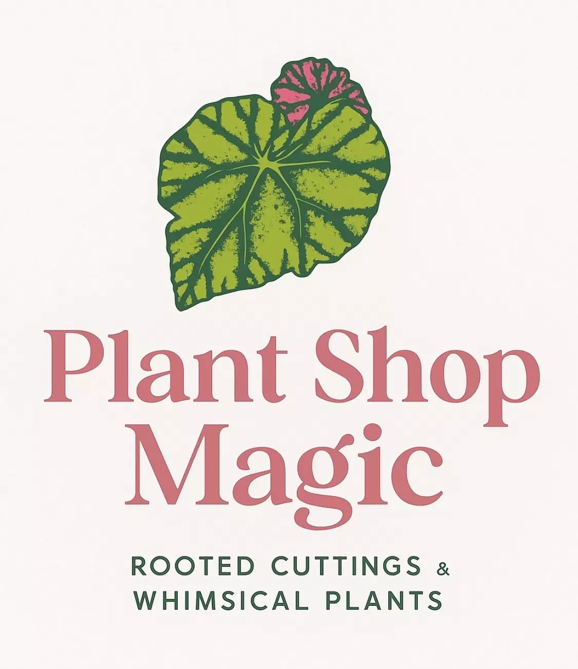 ✨I’m New 🥳 Don’t Miss My Live Plant Drop!