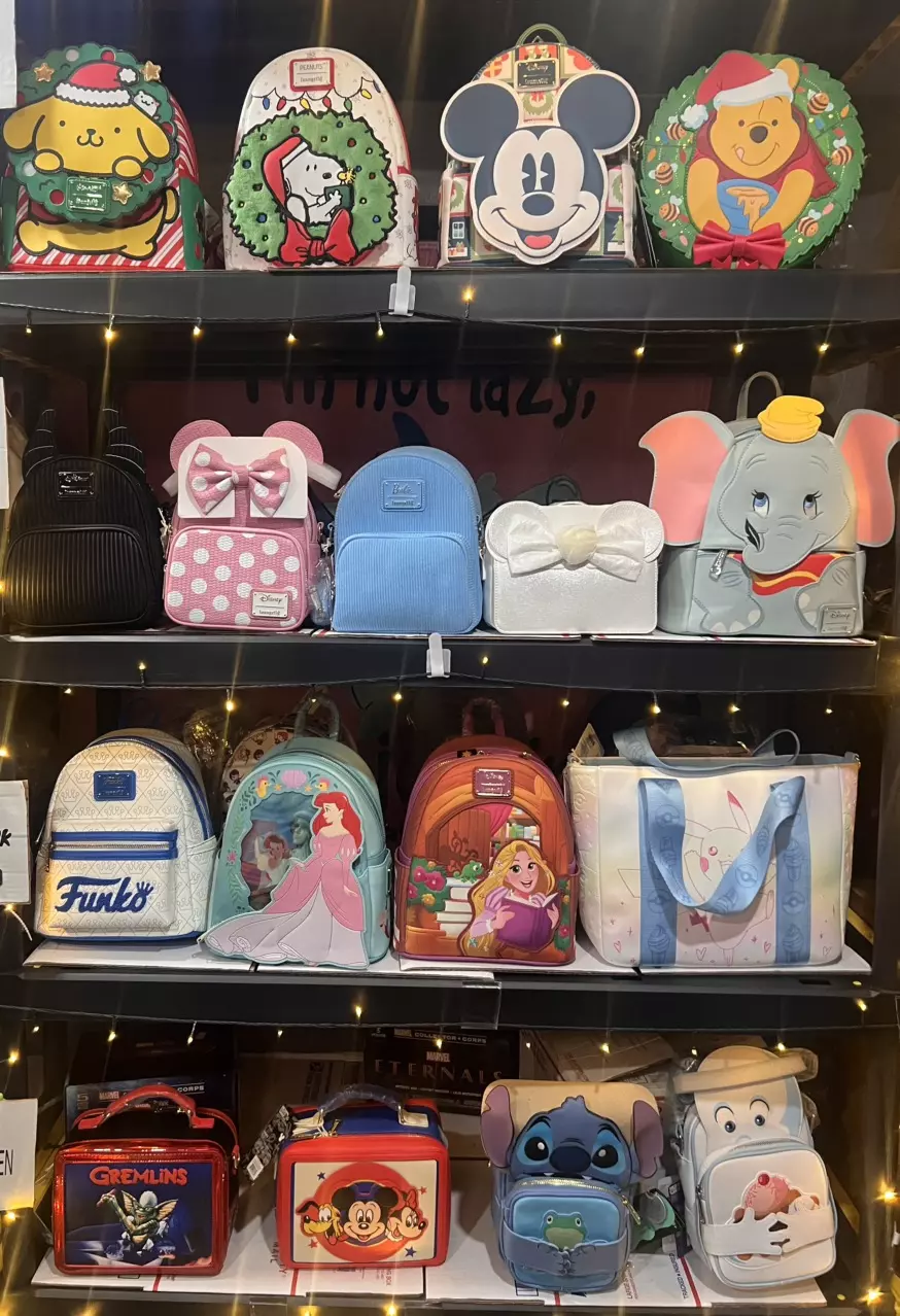 The Power is Yours LoungeFly Show!