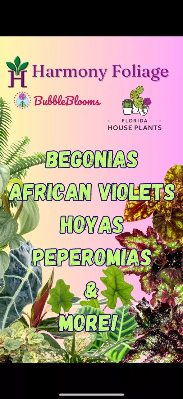 Join Lillie for amazing deals & giveaways!!