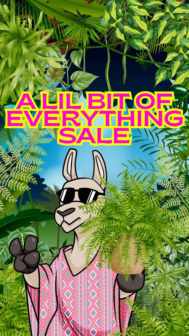 🚨Begonias, Anthuriums, Violets, PRETTY MUCH EVERYTHING!